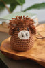 Highland Cows Crochet Book